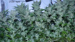 autos drobes 15 05 22 020