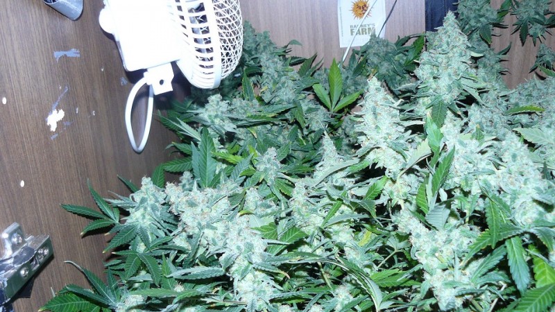 autos drobes 15 05 22 022