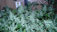 autos drobes 15 05 22 023