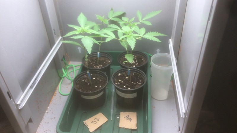 7F280ABF-F846-4805-8781-104013F12E24