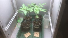 7F280ABF-F846-4805-8781-104013F12E24