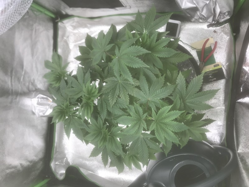 8E3B0D0A-D83B-4B6C-AEF2-21B6FC210E82