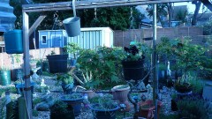 drobes 16 05 22 autos 006