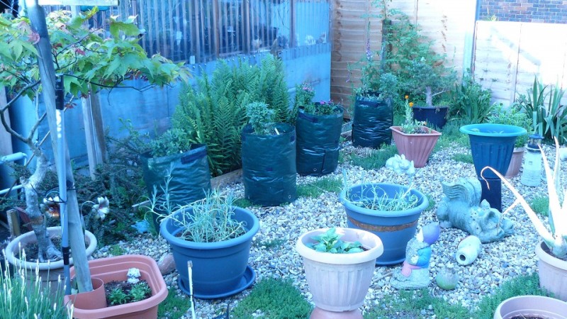 drobes 16 05 22 autos 008