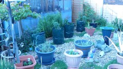 drobes 16 05 22 autos 008