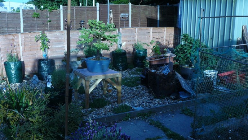 drobes 16 05 22 autos 010