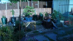 drobes 16 05 22 autos 010