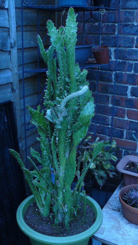 drobes 16 05 22 autos 013