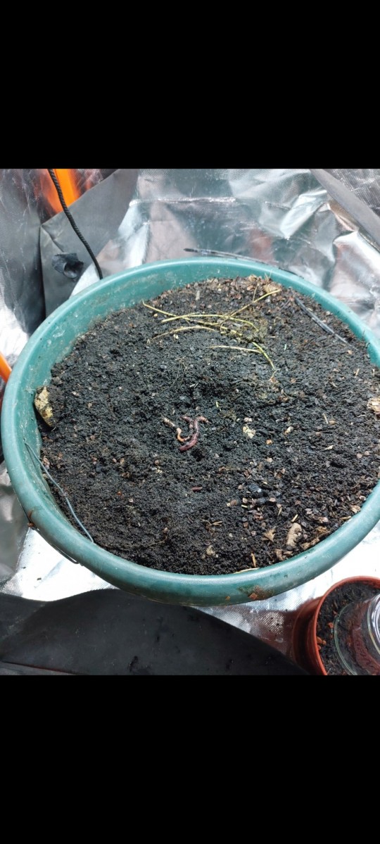 Screenshot_20220516-215428_Gallery