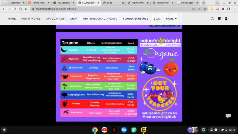 Screenshot 2022-05-17 10.12.40