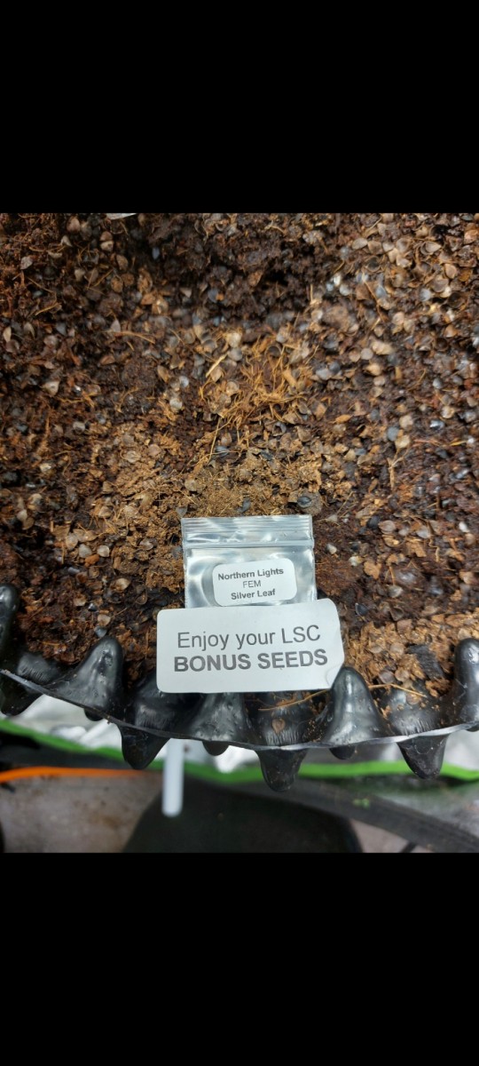 Screenshot_20220517-195243_Gallery