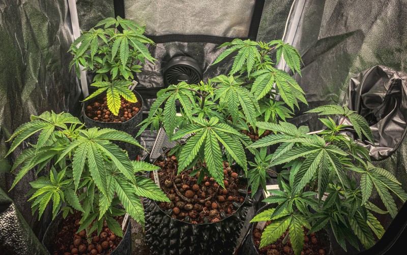 27A71D94-37C1-4867-9581-F2BCBCDF8761