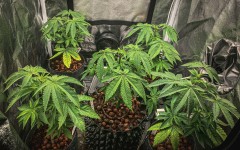 27A71D94-37C1-4867-9581-F2BCBCDF8761