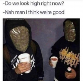 Screenshot 2022-05-18 at 22-49-38 StonerThings™ (@stonerthingsofficial) • Instagram photos and videos