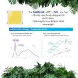 IMG_20220518_112304_482