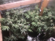 BBF19361-2166-449A-AA14-A5C421D01475