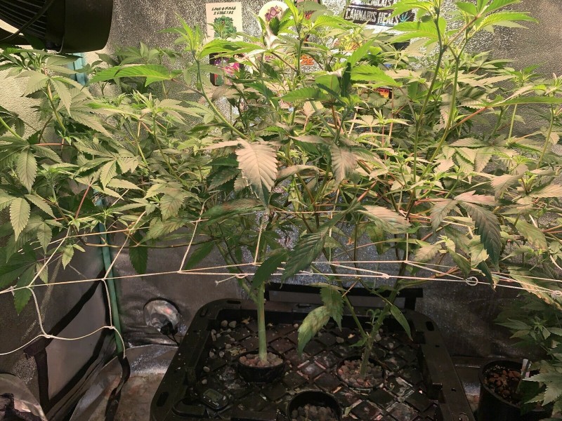 EFE63F56-7C1A-4E96-A0CE-09E1BD1D0C2C