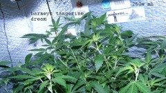 drobes autos etc 21 05 22 043