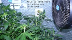 drobes autos etc 21 05 22 045