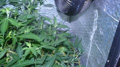 drobes autos etc 21 05 22 046