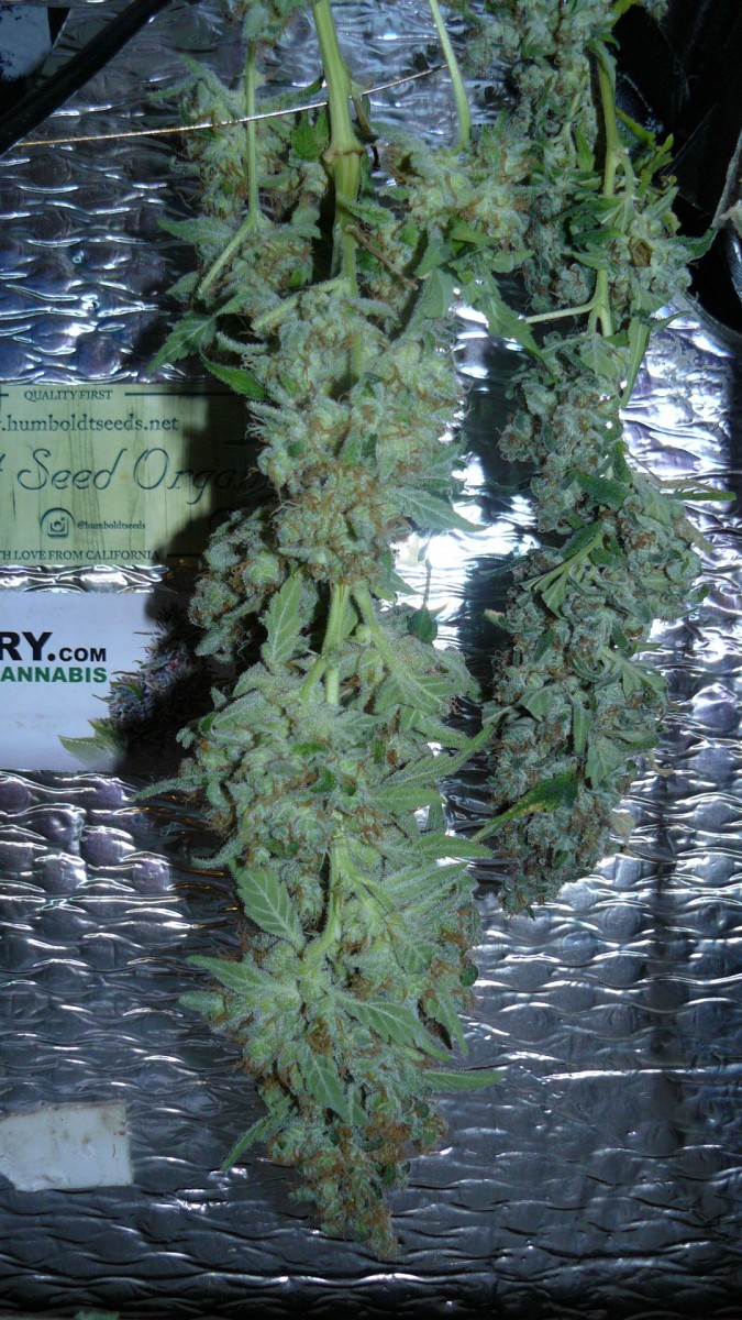 drobes autos etc 21 05 22 054