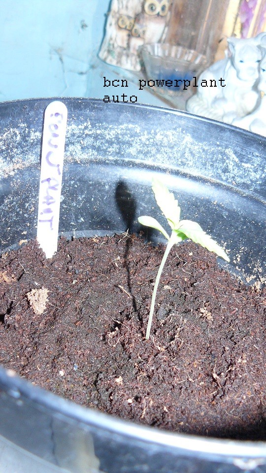 drobes autos etc 21 05 22 063