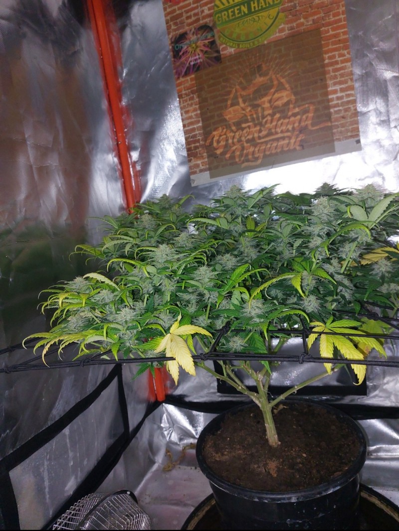 Screenshot_20220523-113756_Gallery