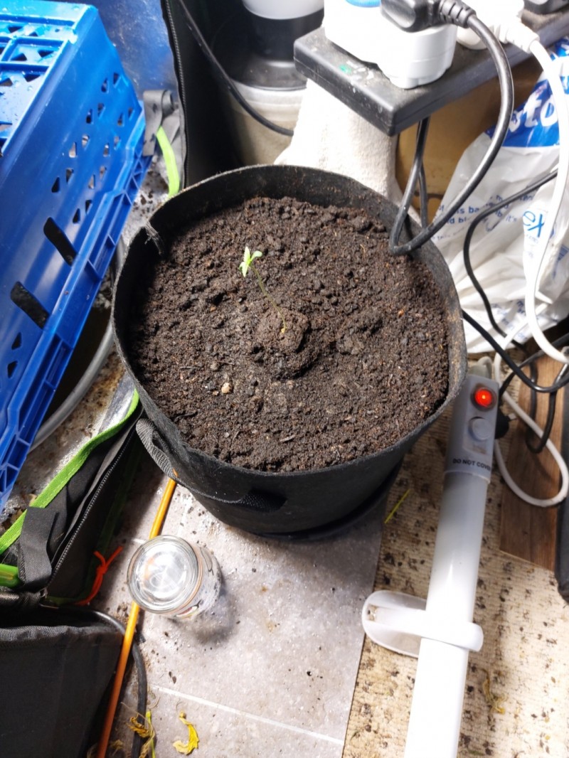 Screenshot_20220523-110836_Gallery