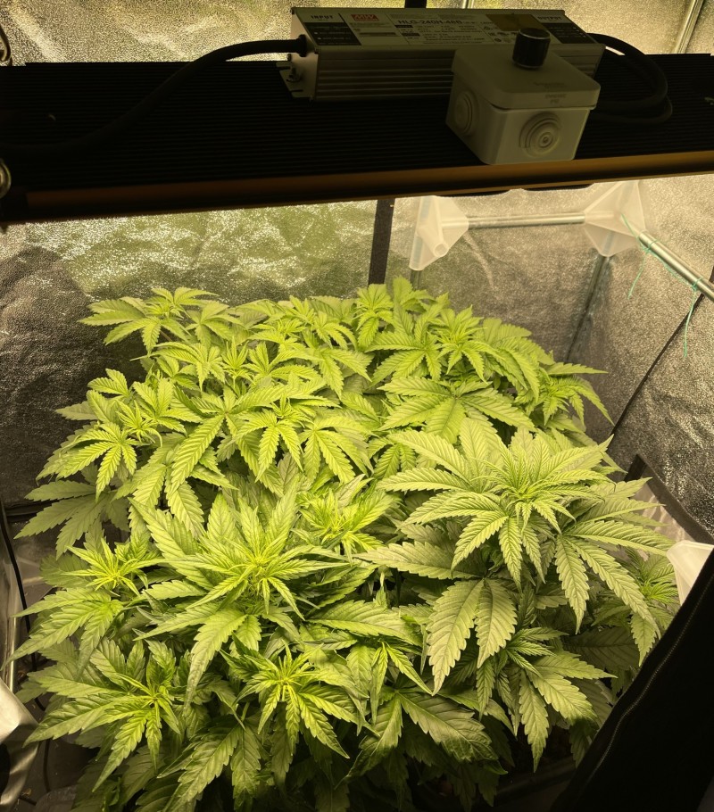 08B74C5F-774C-464D-948F-C5663920E768