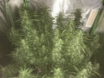 45905011-94D6-41FF-9FCE-314B7BBA9AE8