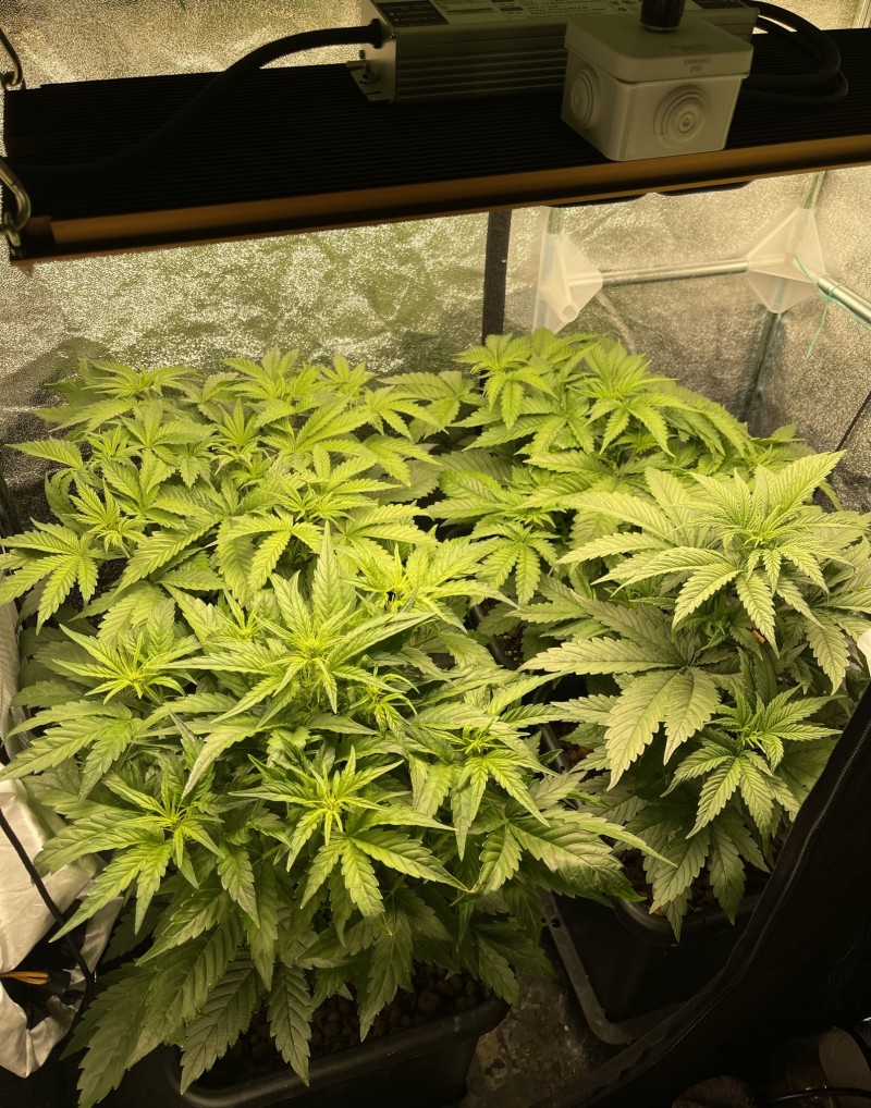 02CFAF05-F967-41EF-9D68-5222C2B00912