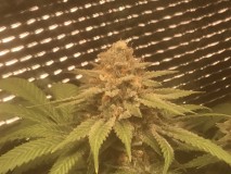 E83C7198-4D91-4E70-BD9C-D6526510D80F