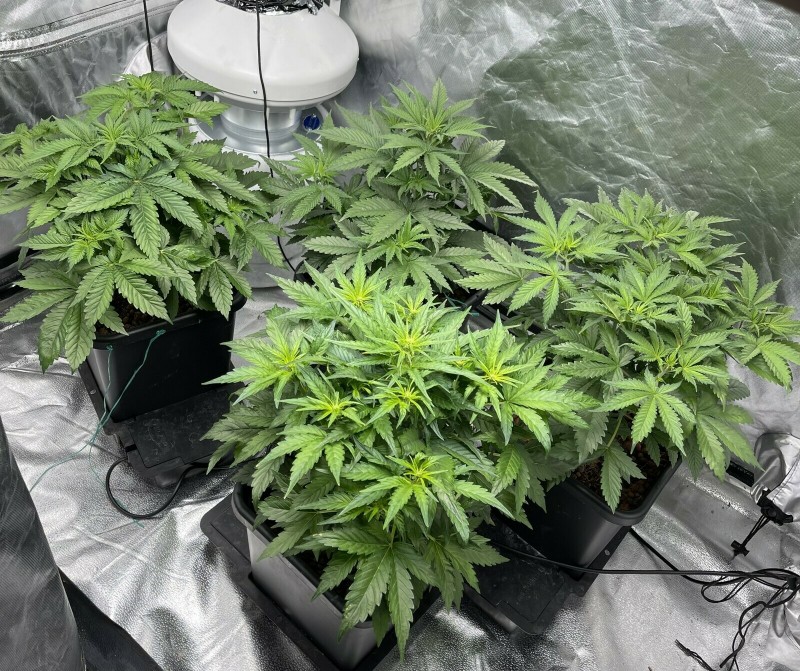 D6FB9CF1-B127-4BCF-A576-71E22F2310E0