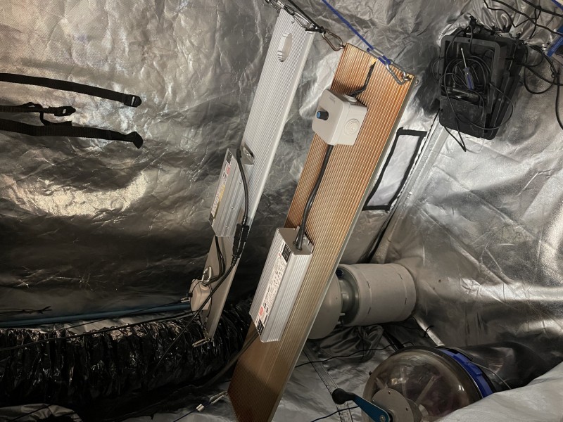 96D3301C-AA1F-4AC4-802A-454683811CAA