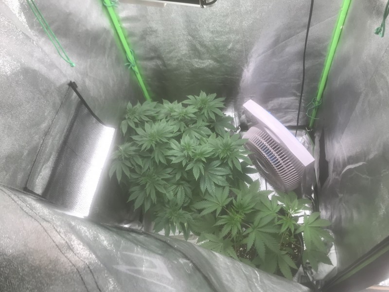 AFF2B161-C036-43C3-BC4C-C6D47818DAD8