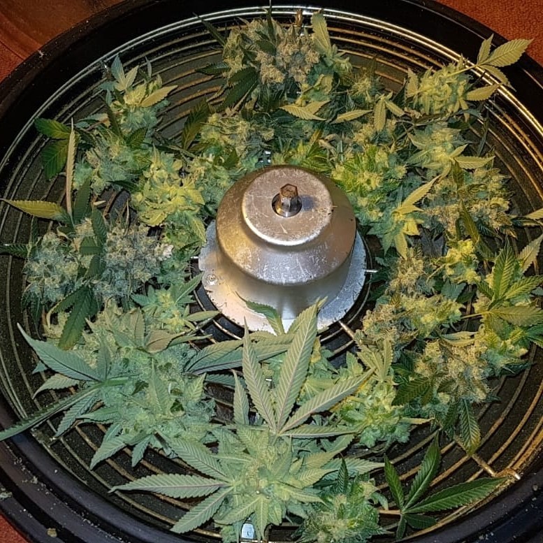 IMG_20180629_085840_104