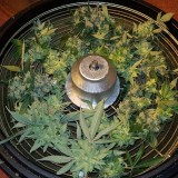 IMG_20180629_085840_104