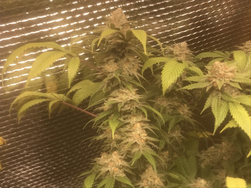 0115E83B-1864-44B4-8CC3-037130258B3C