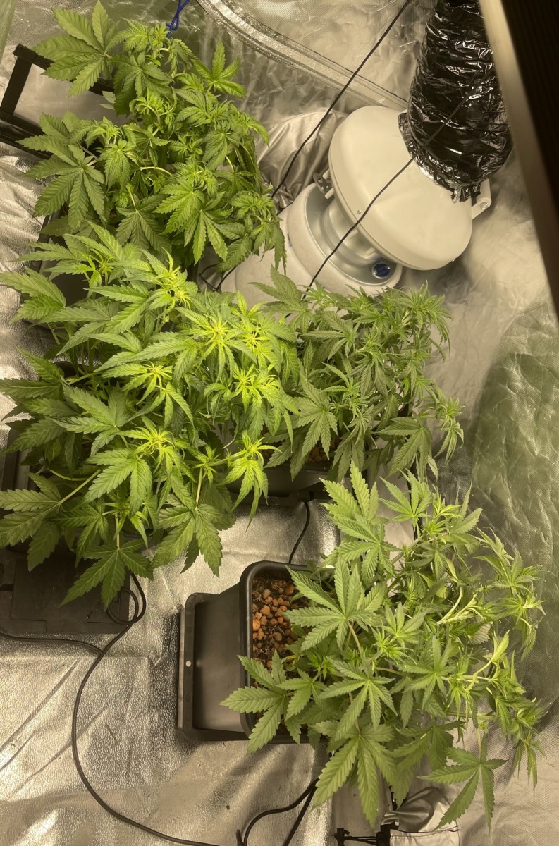 284CDD27-9918-4F30-B796-A66EE6A57C9B