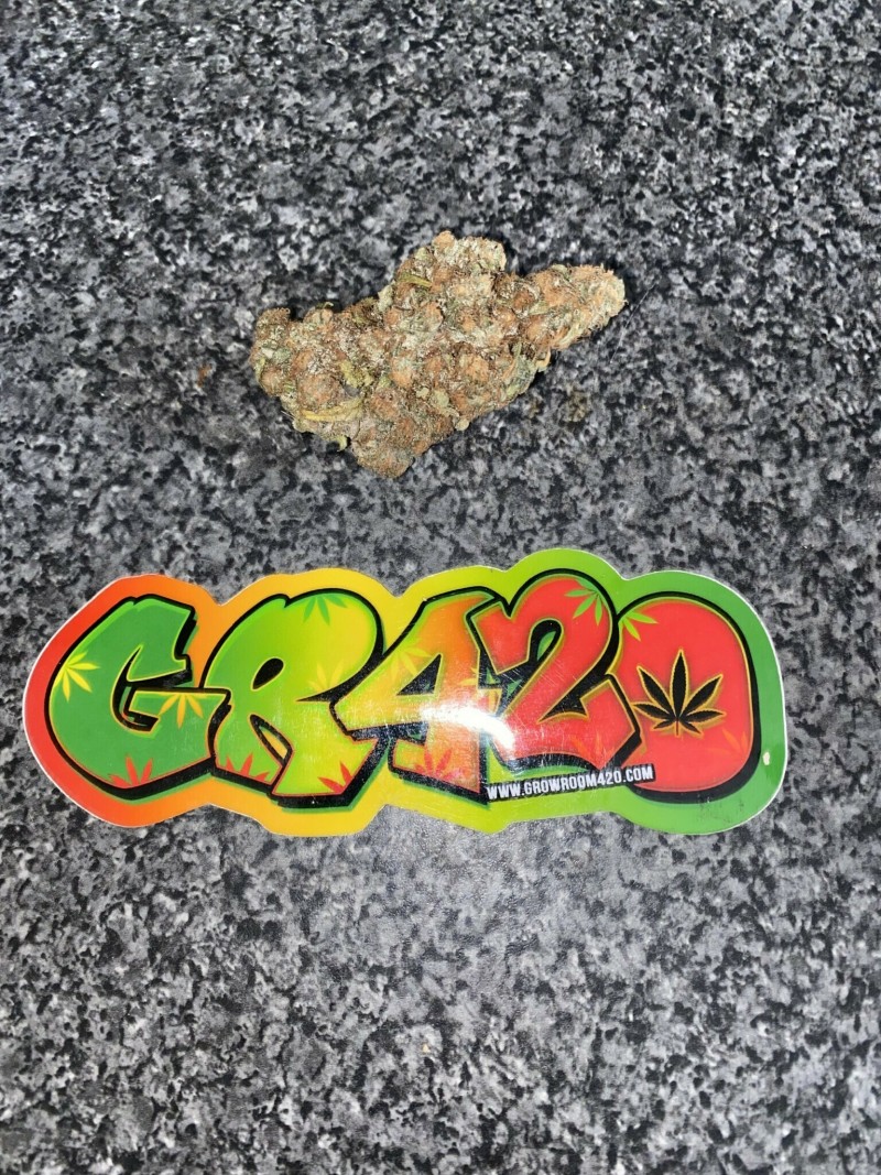 400BB355-B046-4D58-8D0E-2F501FDF0E89