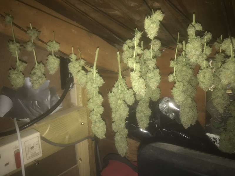 513FB864-01BE-445D-822A-6ED19398CF43