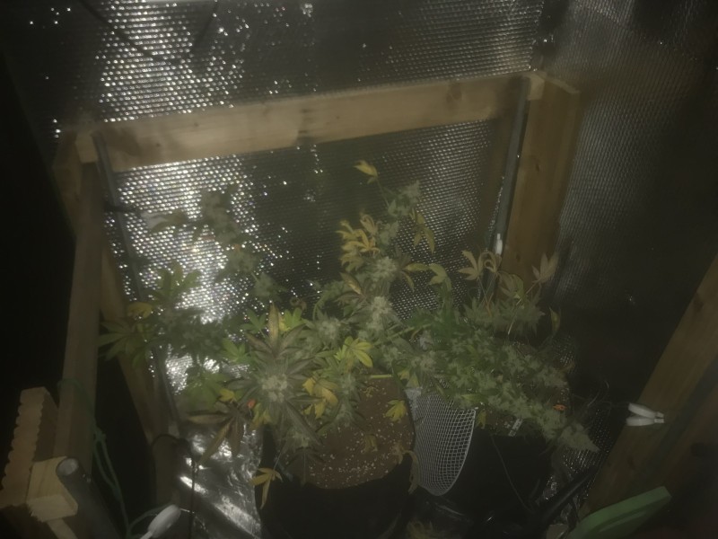 8337C2C6-EE84-4848-9A69-94F6B057DFBC