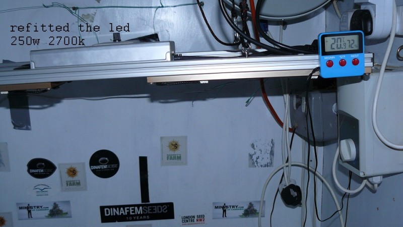 drobes harvest,veg cab 001