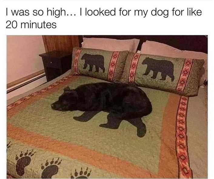 Screenshot 2022-06-02 at 21-33-55 Instagram