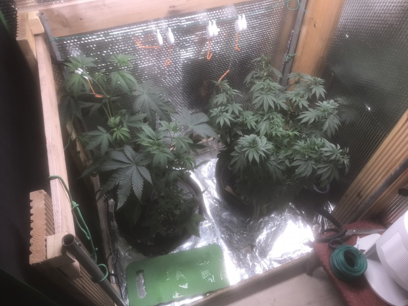 021B6F7A-9C85-4070-8825-890F5CFCA320