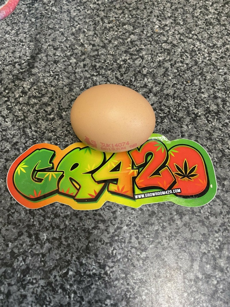 D5A338F9-2E18-44DD-94B8-110D0A54A59B