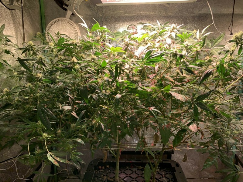 89927144-702D-4520-A905-C940BC28F421