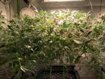 89927144-702D-4520-A905-C940BC28F421