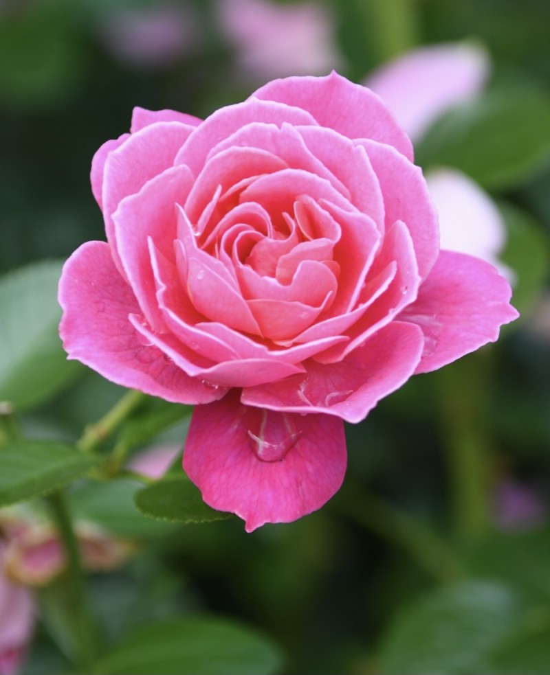 A3C404F0-40EB-4515-8818-A02F7EB516B0