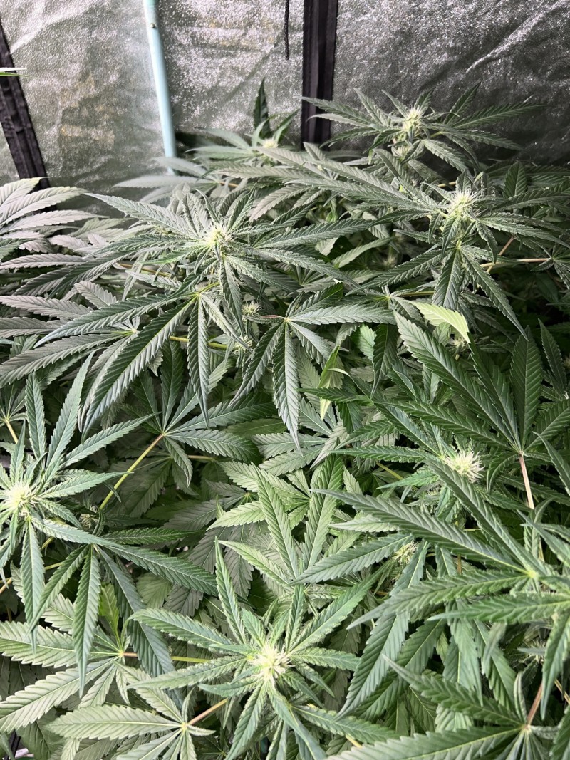 CDDBB96A-AA3A-48D5-9C3C-C67E0A14CF8D